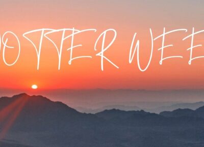 KNOTTER WEEK(2022/7/23-7/29)のご案内